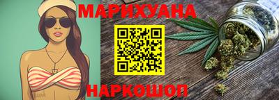 сатива Славгород