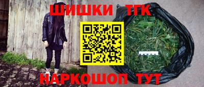 сатива Славгород